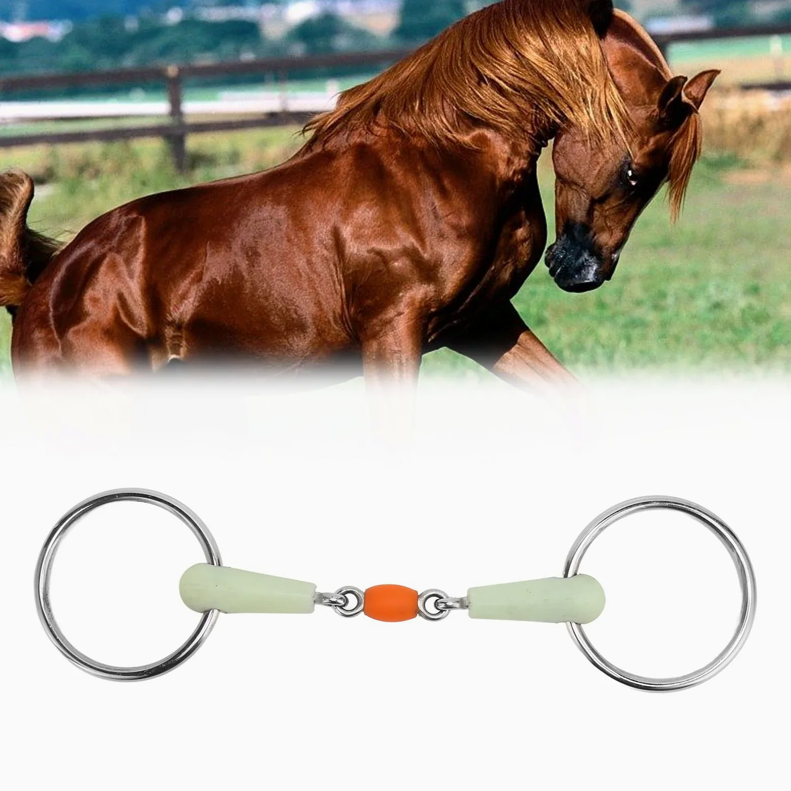 Filetto Ad Anello per Tutti Gli Usi, Filetto a Bocca di Cavallo in Acciaio Inossidabile con Sapore di Mela, Filetto a Bocca Larga, Filetto Ad Anello Sciolto a Doppio Giunto