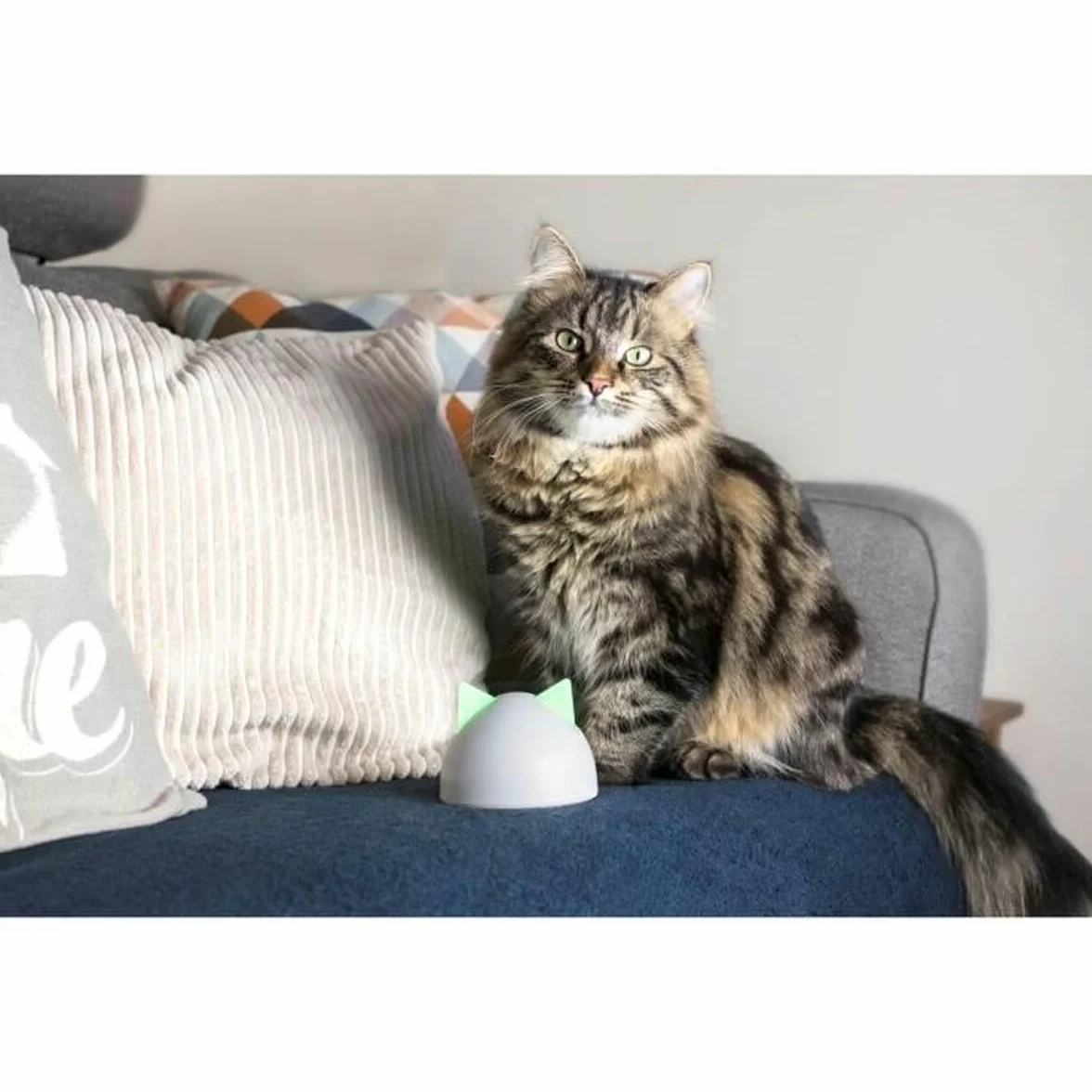 Hub Sure Petcare compatibile con: Porta per animali Connect SureFlap, Gattaiola Connect SureFlap, Ciotola intelligente Connect SureFeed, Felaqua Connect, App mobile, iOS, Android, Bianco