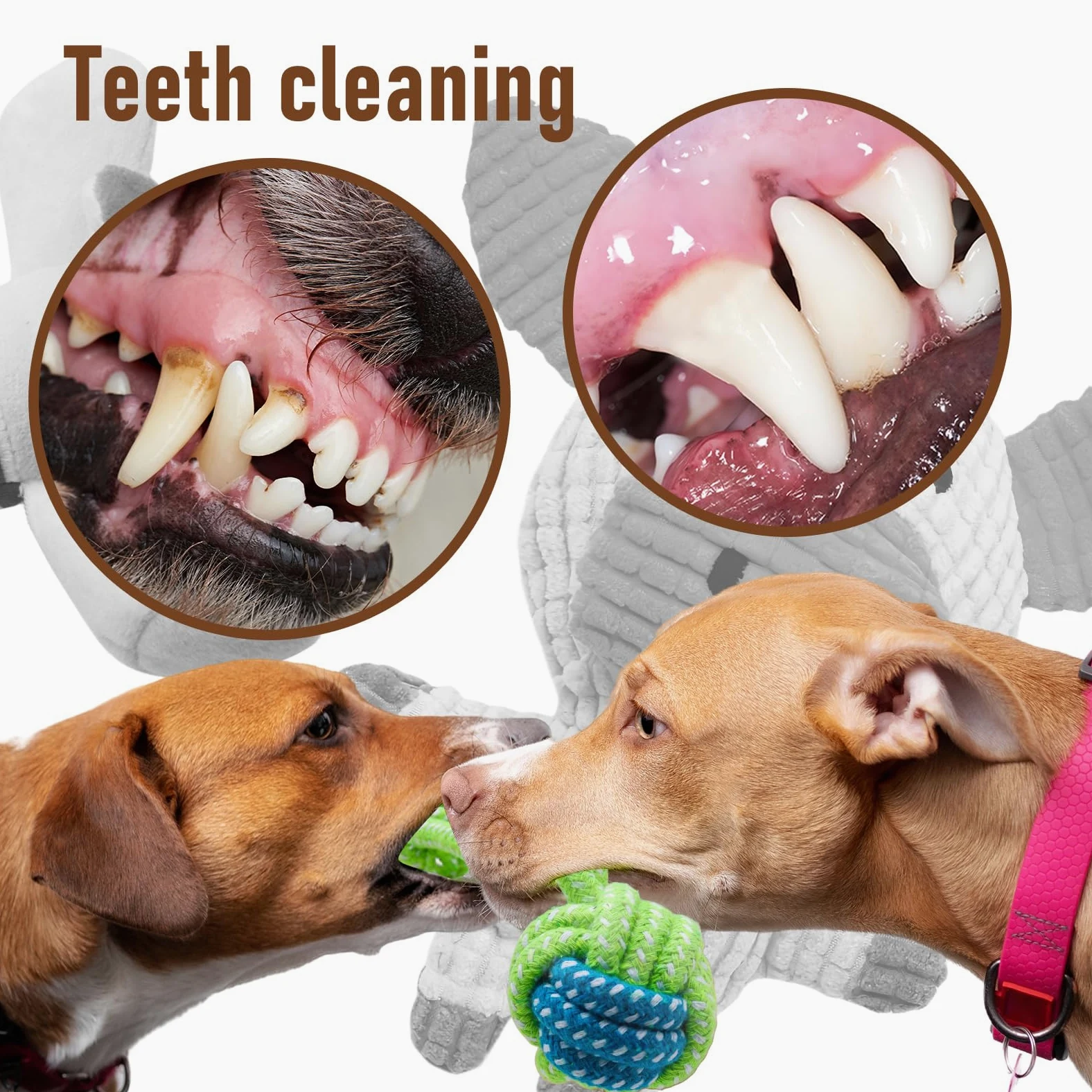 Animali di peluche per cani, confezione da 12 giocattoli interattivi da masticare per cani, giocattoli per cani per tenerli occupati, giocattoli per dentizione per cani di piccola taglia e