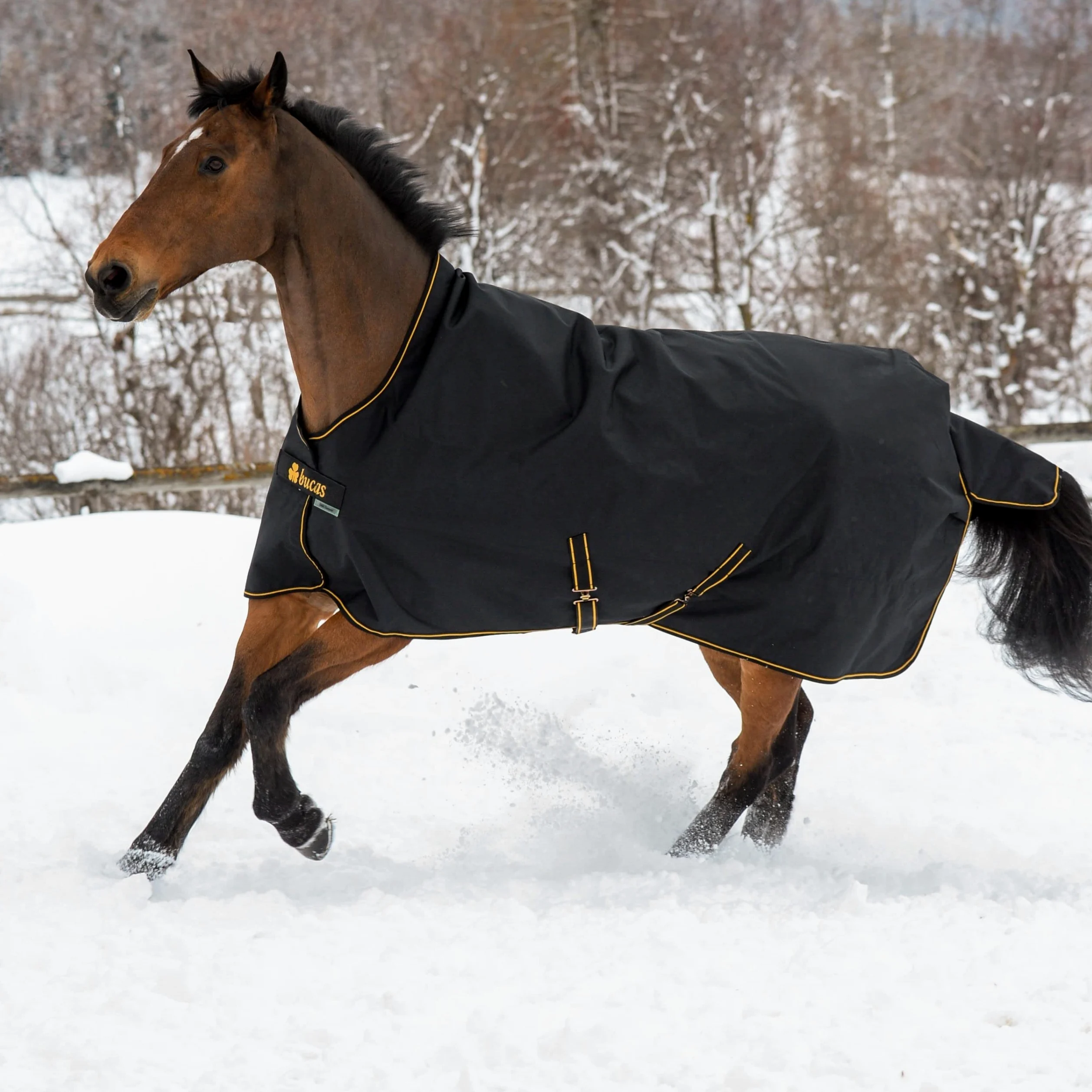 Bucas IrishTurnout - Coperta per cavallo, extra 300 g, 130 SW/Gold