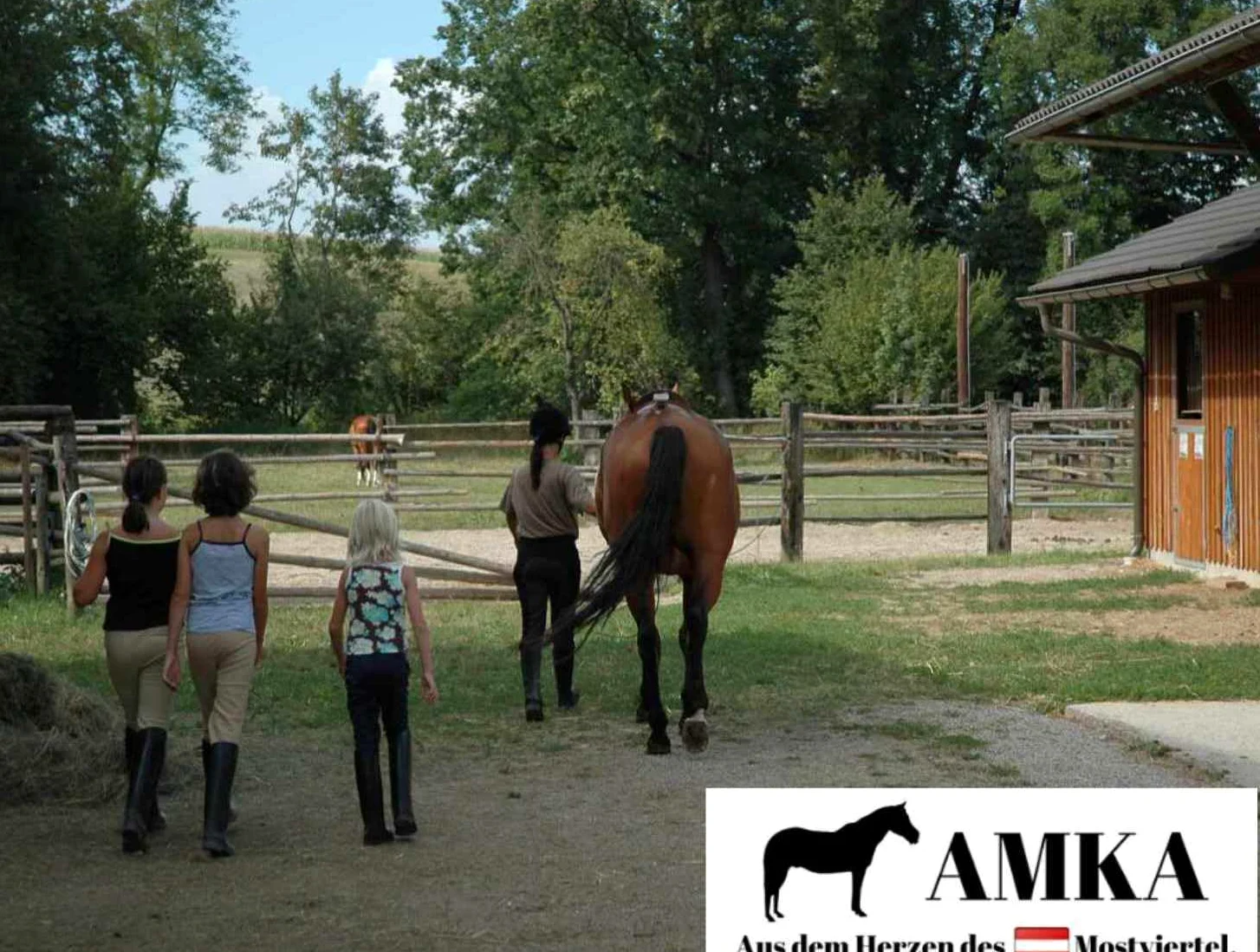 AMKA Acciaio Inossidabile Island islaen dersteig Buegel toelt sicurezza Staffe 1 Coppia