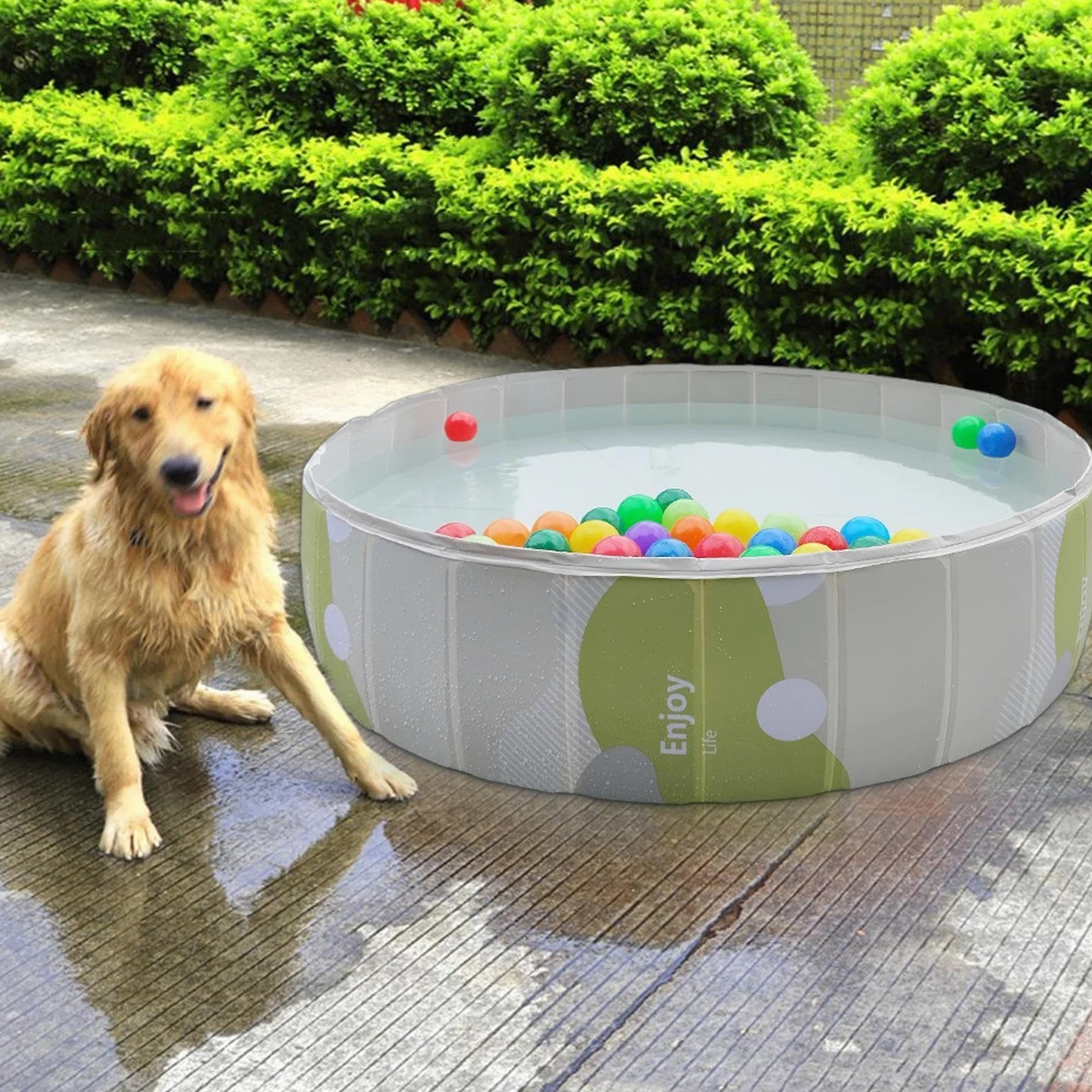 Piscina Portatile Per Cani Vasca Rotonda In PVC Non Gonfiabile Da Bestiame | Piscina Da Cuccioli Per Adulti Bambini Bagno Esterno Interno Spiaggia Campeggio Giochi Terrazza
