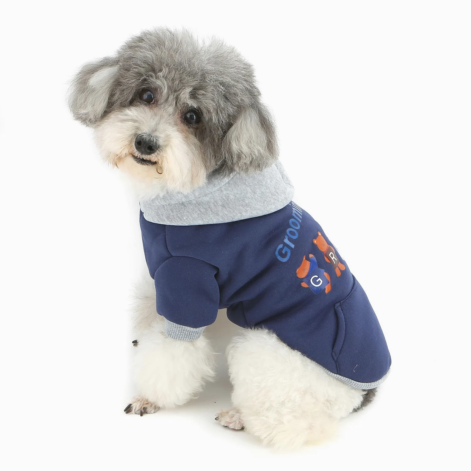 XHYRHTS Felpa con cappuccio in pile per cani con stampa simpatico cartone animato per razze Xsmall piccole, calda felpa pullover colorblock con anello a D, morbido abito invernale per cuccioli gattini