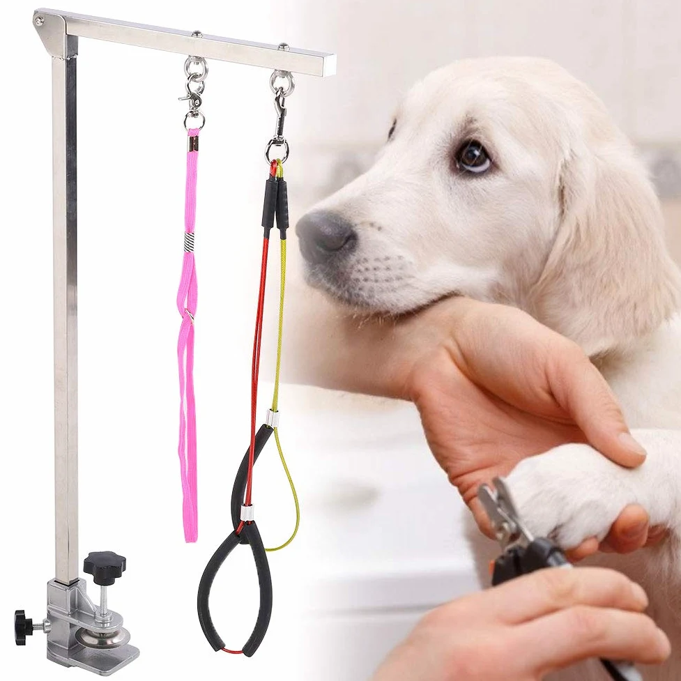 Braccio per toelettatura cani pieghevole resistente per cani, in acciaio inox, con morsetto e cappio