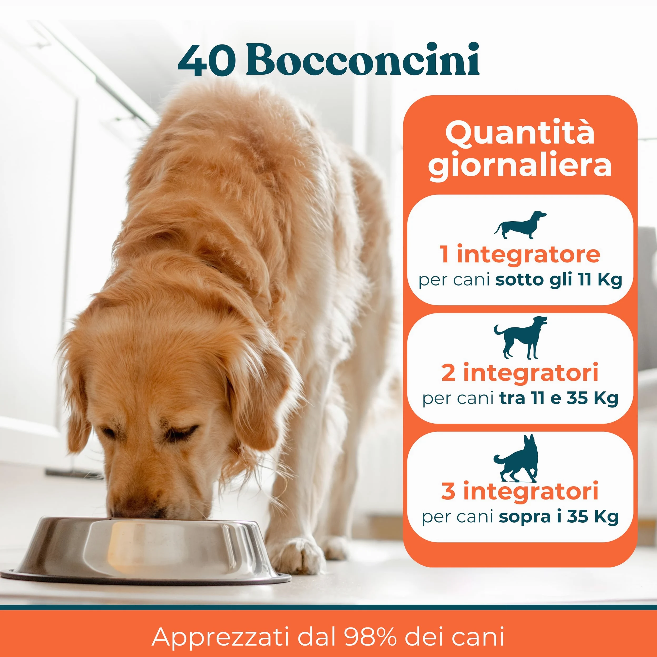 Probiotico per Cani Gusto Manzo - Integratori Probiotici per Cani per Intestino, Prurito e Sistema Immunitario (40 Bocconcini)