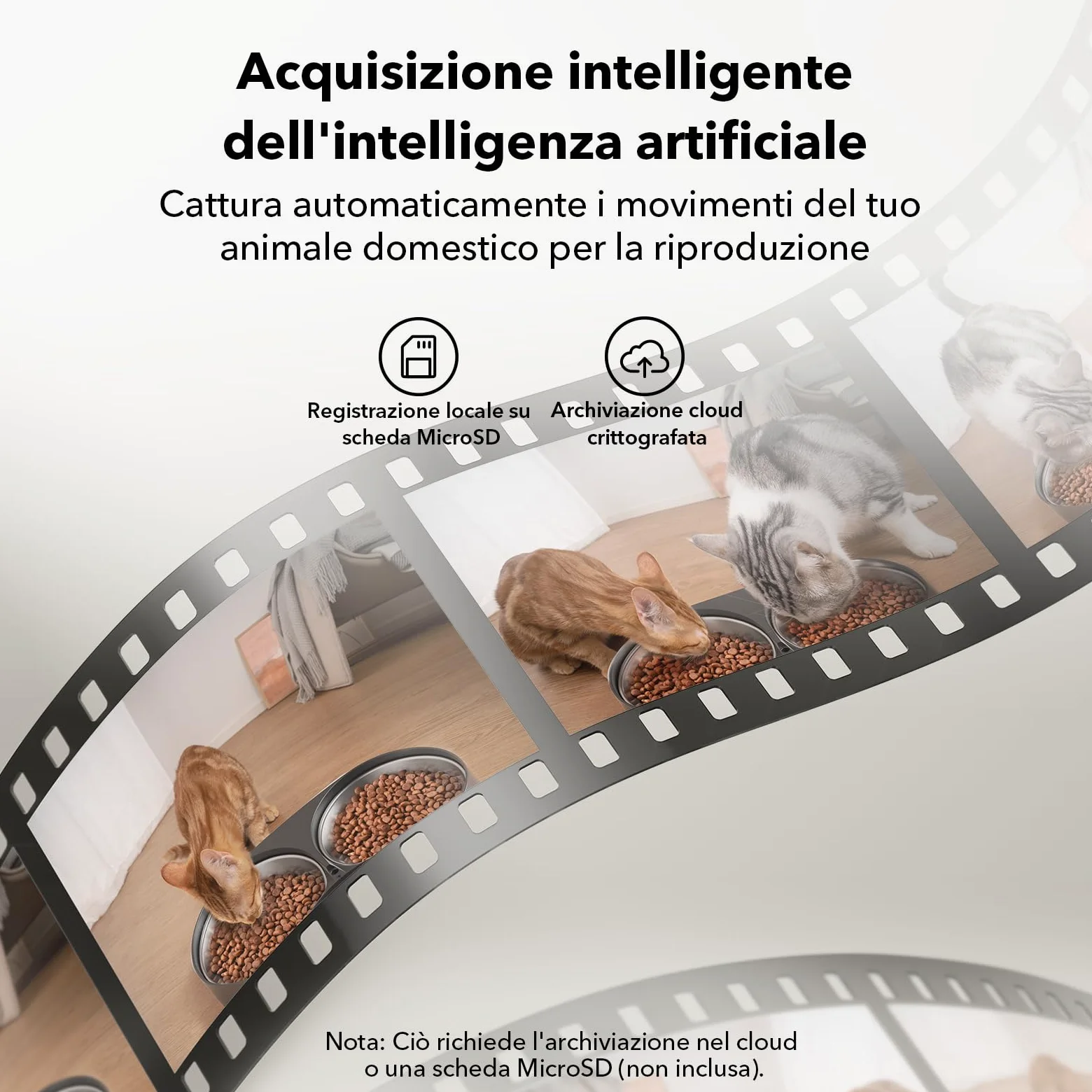 PETLIBRO 5G&2.4G WiFi Distributore Automatico Cibo Gatti con Telecamera,5L 1080P HD Distributore Automatico Cibo Cani con 2 Ciotole in Acciaio Inox,1-10 Pasti/Giorno,APP Controllo,USB e Batterie, Nero