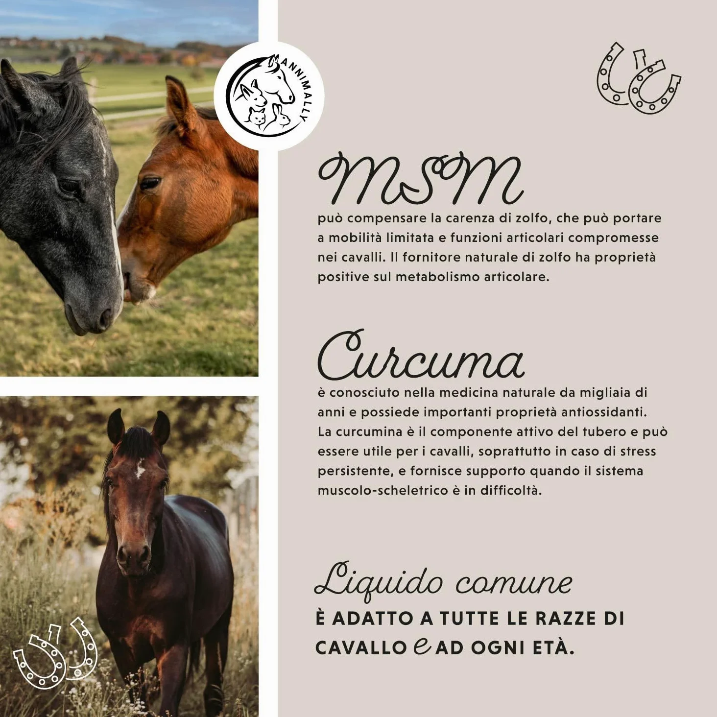 Liquido articolazioni per cavalli 1000ml con artiglio del diavolo cavallo, glucosamina e MSM cavallo (zolfo) liquido- Per il rafforzamento delle articolazioni del cavallo- msm integratore per cavalli