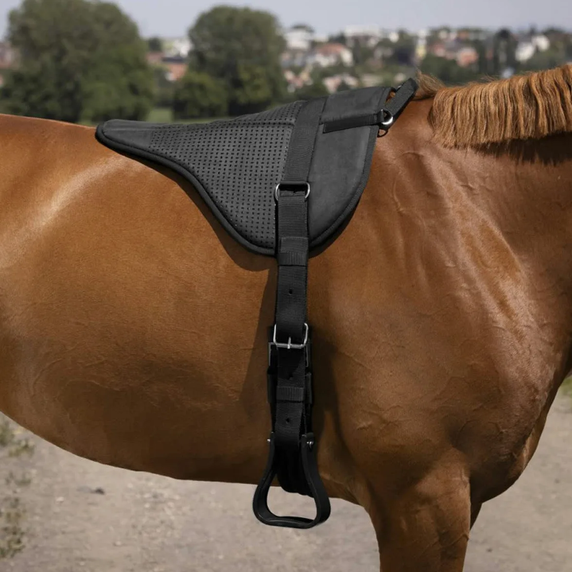 Equithème Bareback Pad Norton Black in Size: Full (EU). - Nero - Full