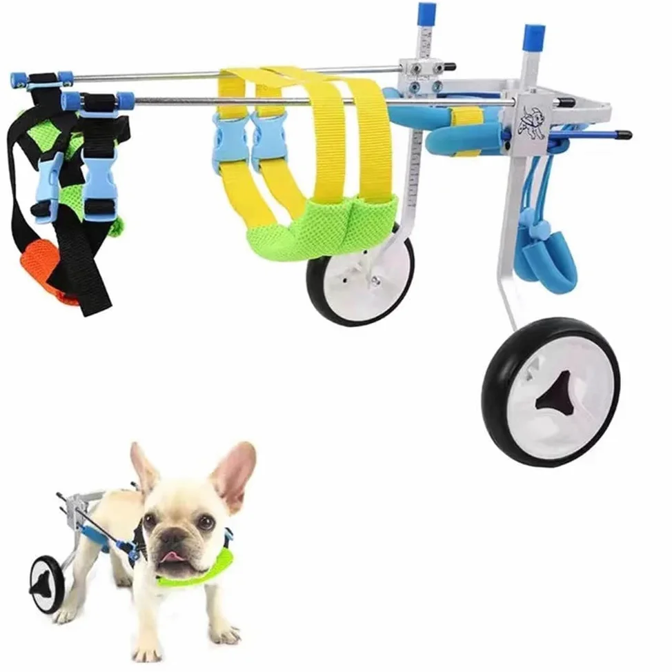 REMEK Sedia A Rotelle per Zampe Posteriori Cani, Carrello per Animali Piccolo/Medio/Grande Pet Walk Assistant per La Riabilitazione delle Zampe Posteriori