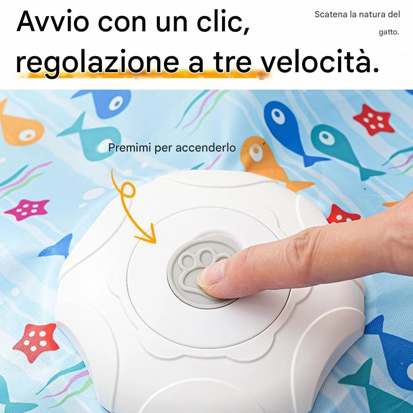 Generico Giocattolo Interattivo Per Gatti, Giocattolo Stimolante A Forma Di Stella Con Tre Impostazioni Di Velocità, Tessuto Oxford E Resistente Ai Morsi, Gioco Di Addestramento Arricchente
