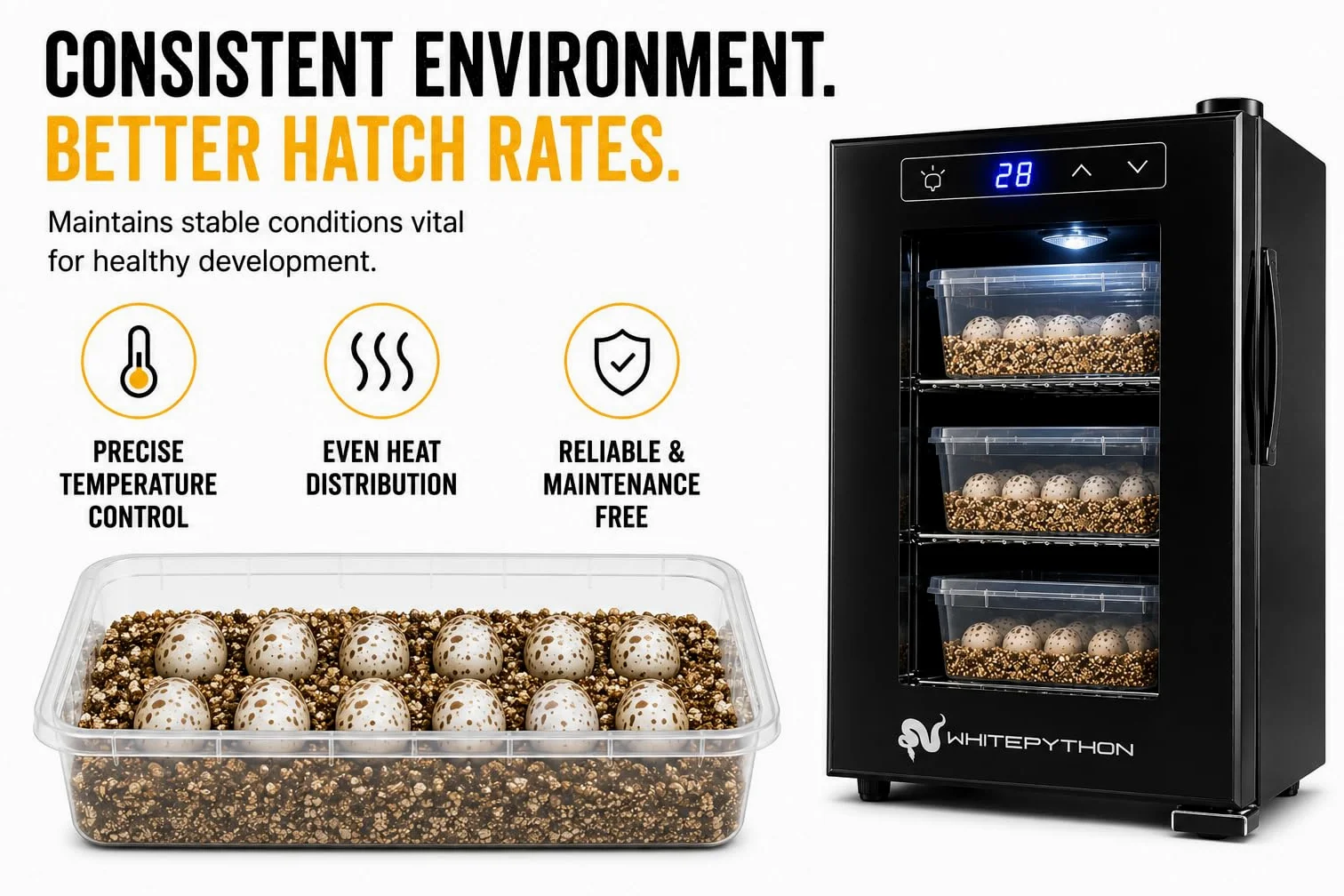 Incubatrice per rettili, 23 l, per cova uova, lucertole, tartarughe, draghi barbuti, tecnologia di riscaldamento automatico termoelettrico, semplice da usare