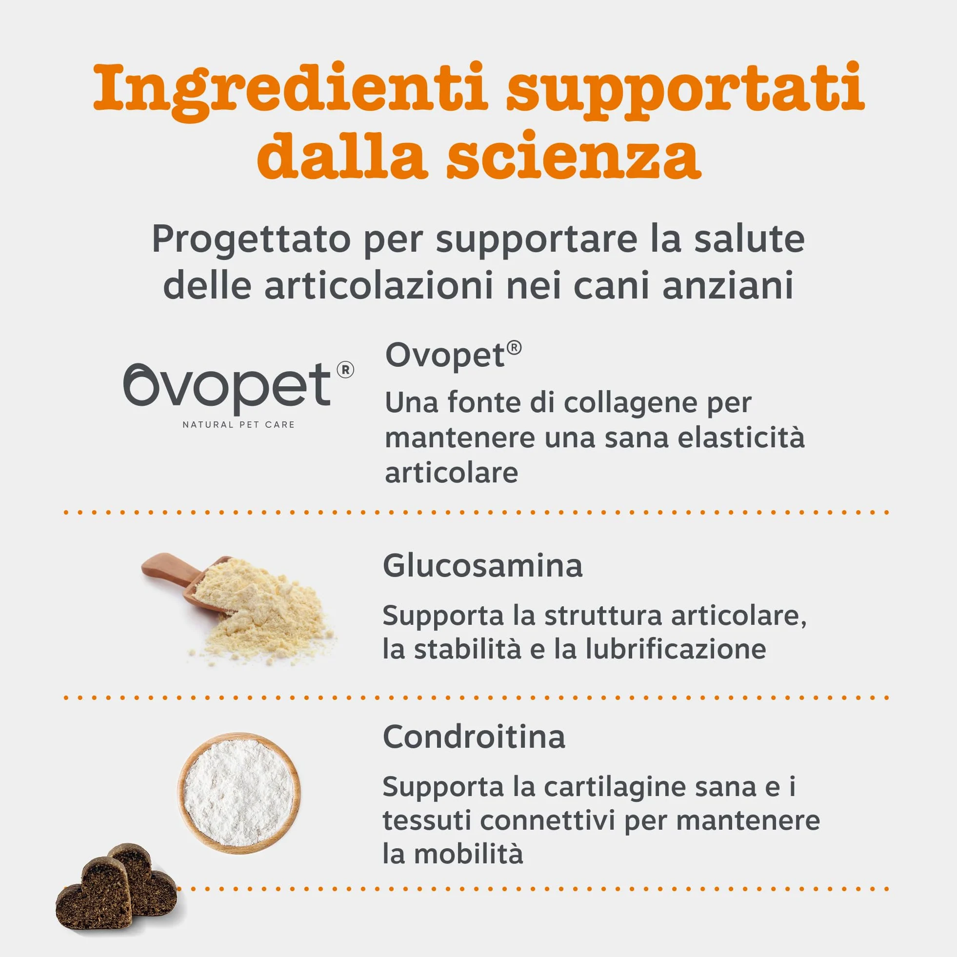 Zesty Paws Hip & Joint per Cani – Supporto Mobilità, Flessibilità Articolare, Articolazioni Rigide e Cartilagine – con Glucosamina, Condroitina e Cozza Verde – 90 Bocconcini