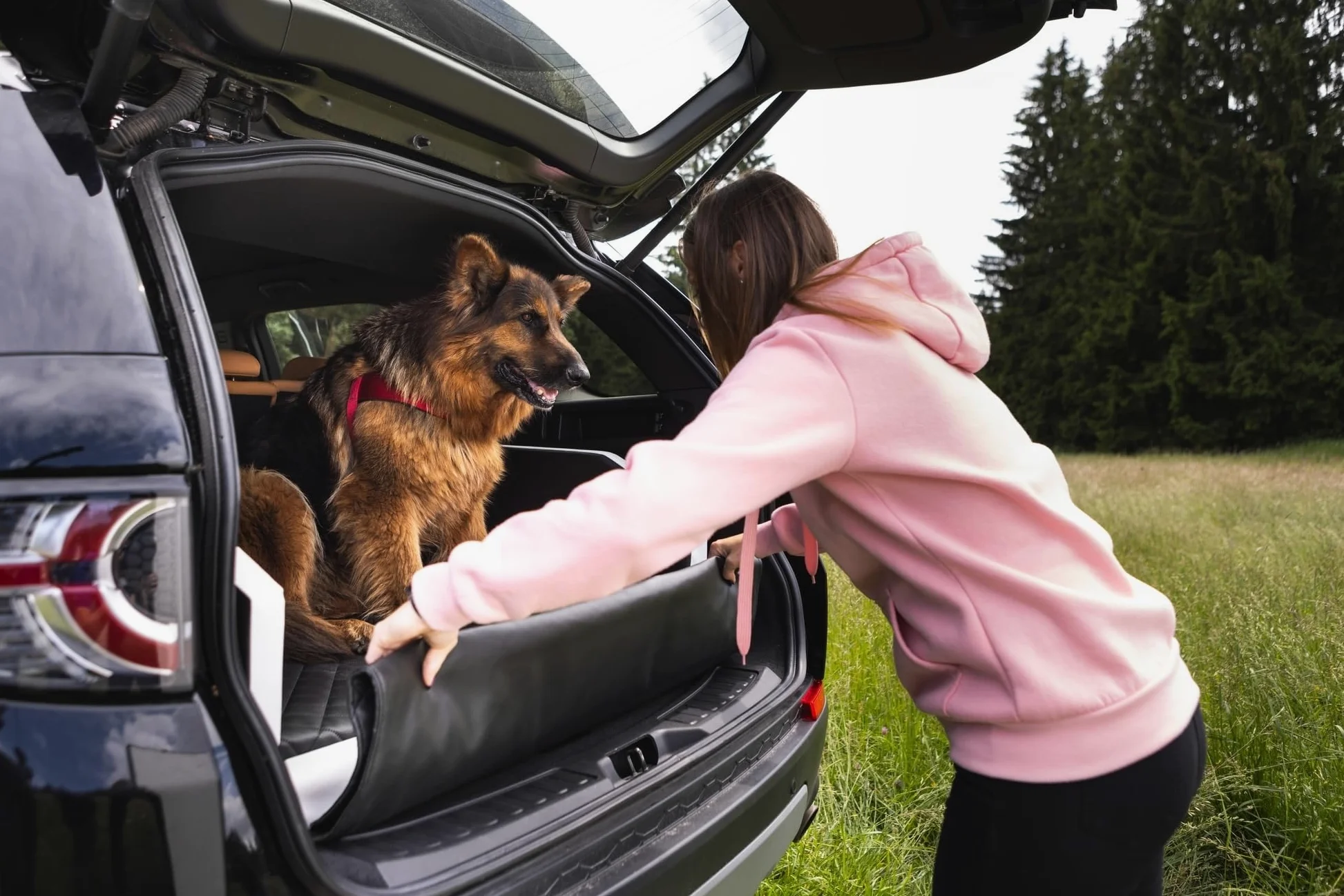 Velinda Trasportino Pieghevole per Cani Bagagliaio Auto Materasso Cintura 90x55 cm (Colore: Nero)