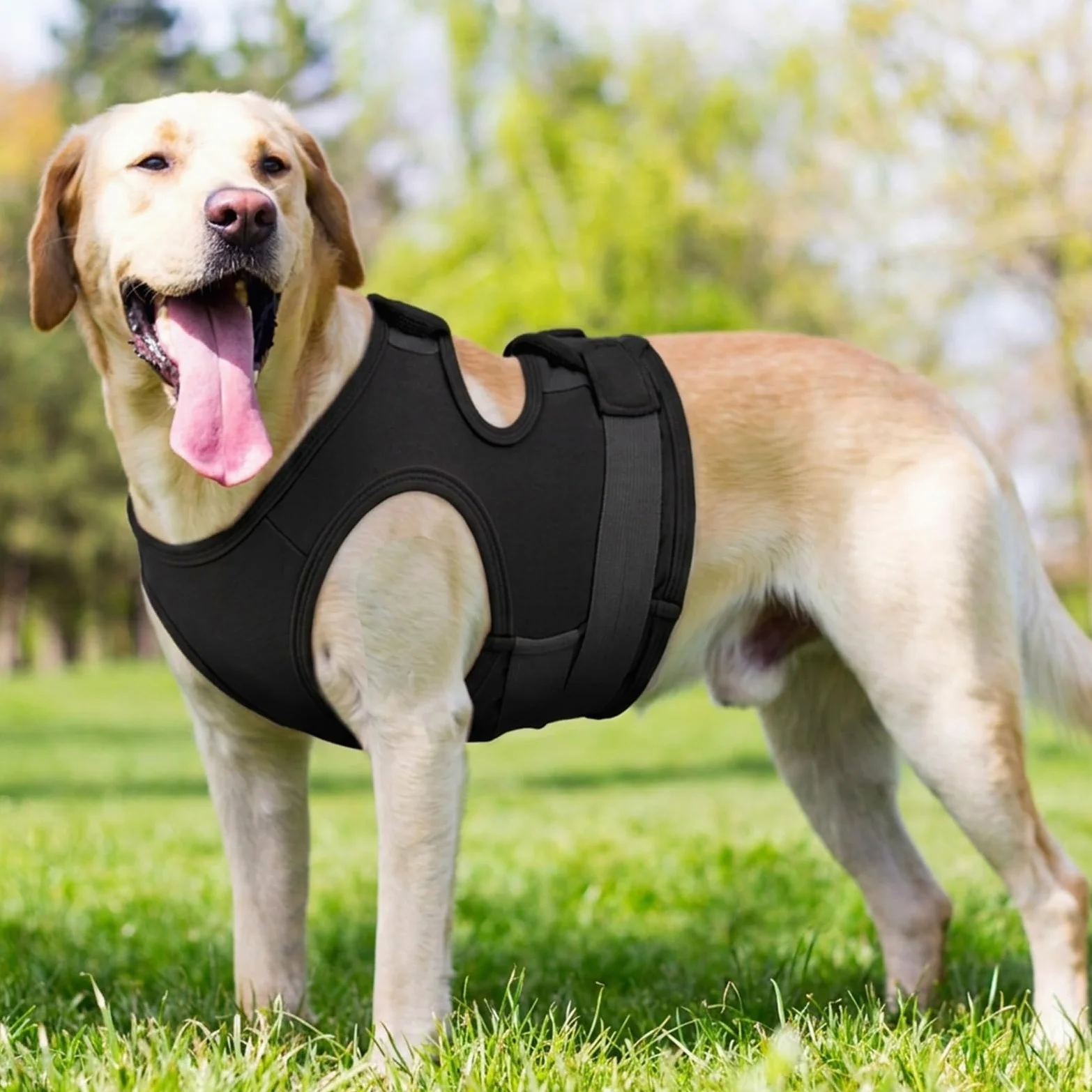 MIGOHI Giacca per alleviare l'ansia del cane, maglia calmante traspirante per cani, morbida maglia a compressione per temporali, fuochi d'artificio, separazione, fascia calmante per l'ansia del cane
