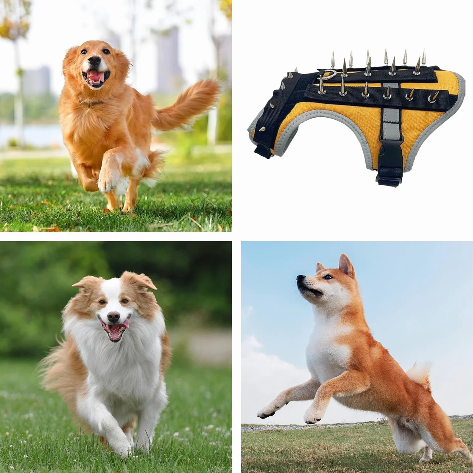 Gilet Anti-Coyote Per Cani Piccoli Pettorina Protettiva Regolabile A Punte | Pettorina Riflettente Per Animali Protezione di Sicurezza Catarifrangente con Punte per Passeggiate Notturne ed Escursi