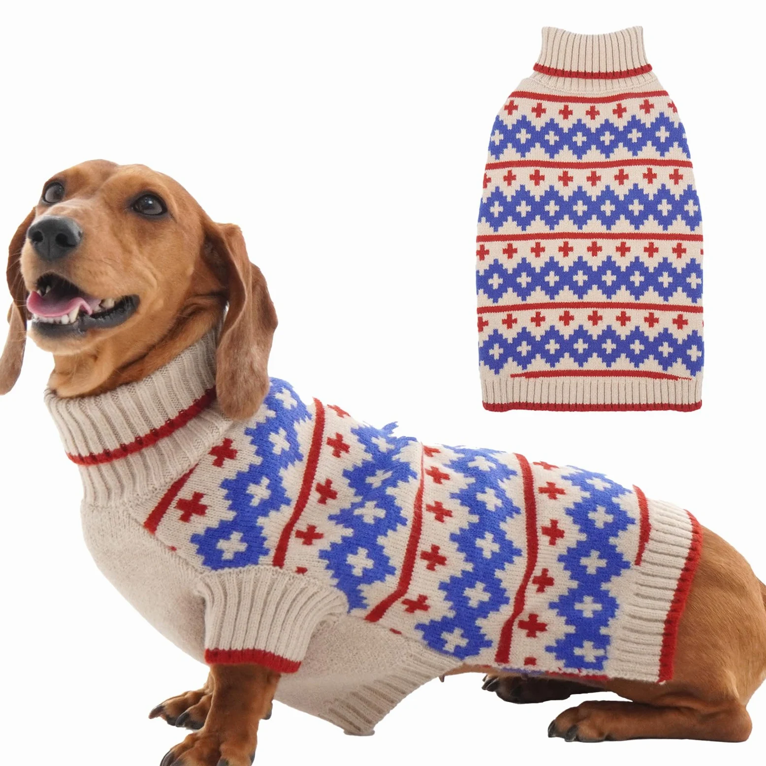 Cani Maglione Albicocca