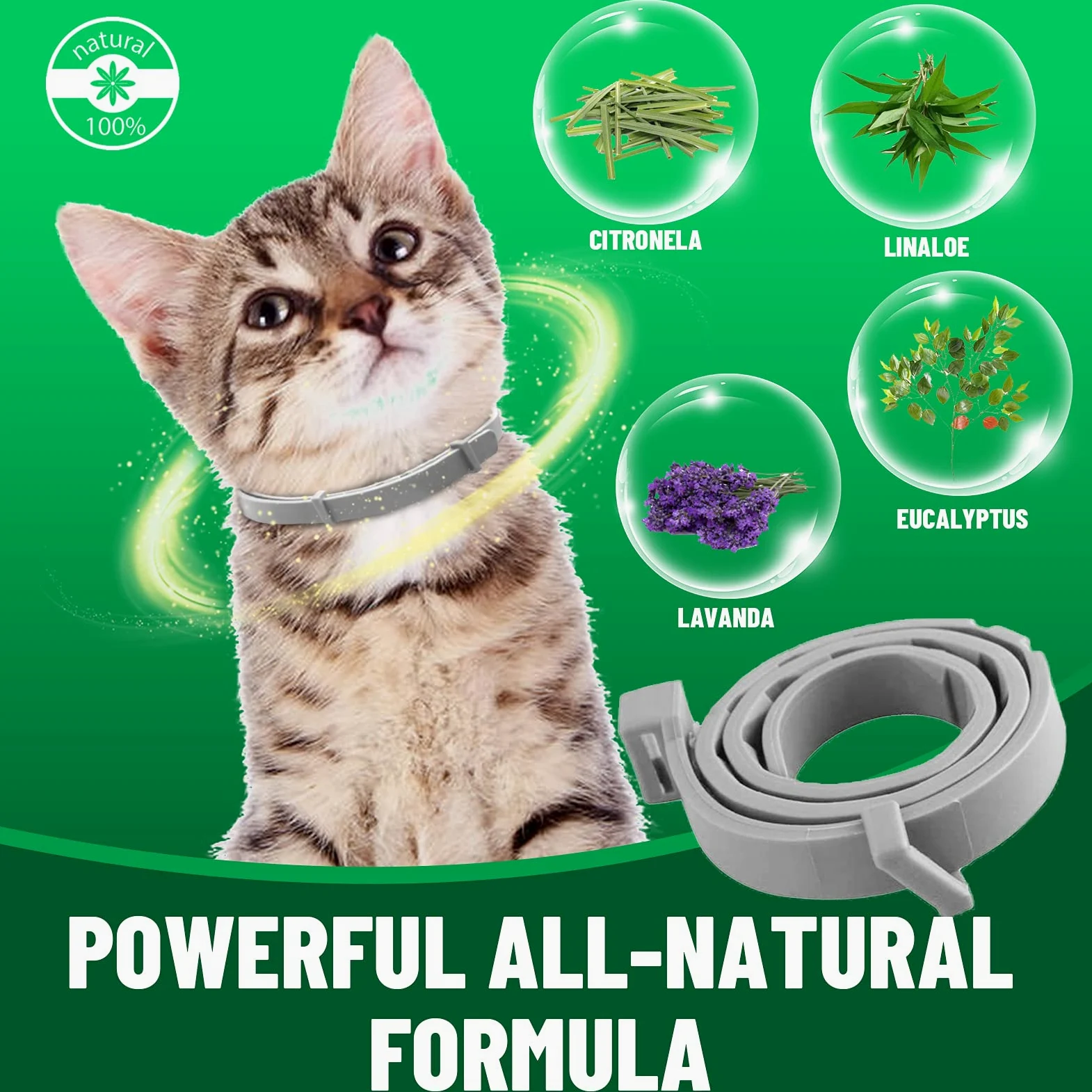 Collare Antiparassitario per Gatti, Collare Antipulci per Gatti Impermeabile Regolabile Naturale con Protezione di 8 Mesi, Si Illumina al Buio, Soluzione Sicuro Contro i Parassiti per Gatto